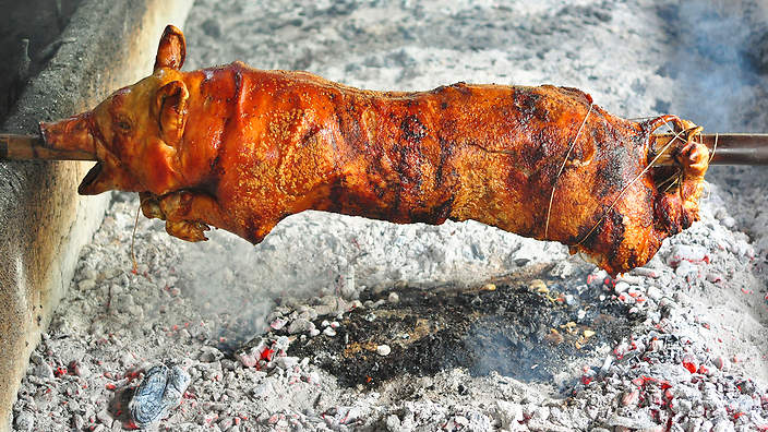 Spit Roasted Pig Served with Apple or BBQ sauce Stuffing & Crispy Crackling